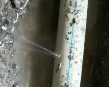 察布查尔锡伯卫生间测漏水多少钱