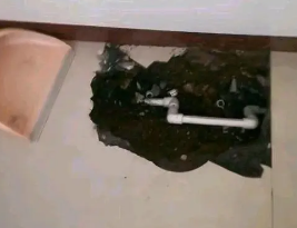 察布查尔锡伯卫生间测漏水多少钱